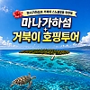마나가하섬+거북이 호핑투어