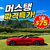 [파격 할인] 머스탱 *색 지정 가능*