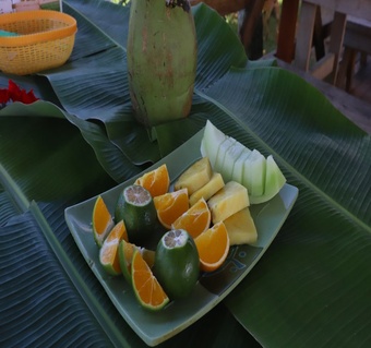 사이판 가족여행 필수 코스! 정글투어로 만나는 타포차우산과 농장체험