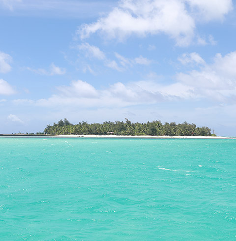 마나가하섬 투어 + 보트 스노클링 