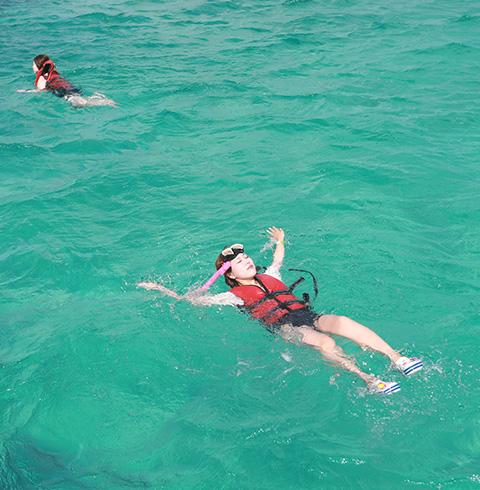 마나가하섬+거북이 호핑투어