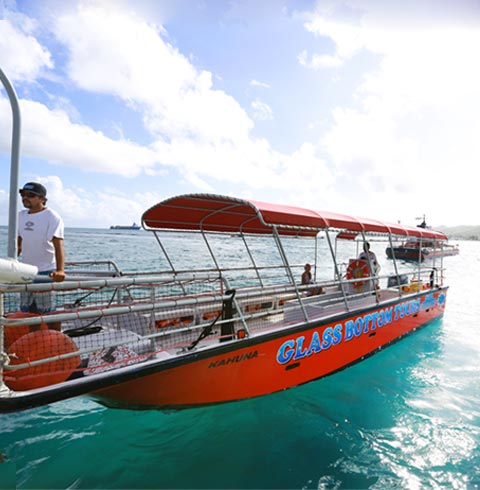 마나가하섬+글라스바텀 스노클링