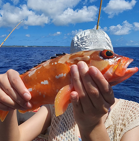 사이판 거북이 호핑투어 스노클링