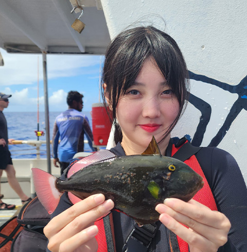 마나가하섬+거북이 호핑투어