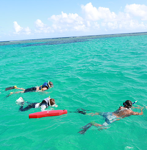 마나가하섬+글라스바텀 스노클링