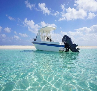 마나가하섬 데이터 연결, 실제 속도는 어떨까?