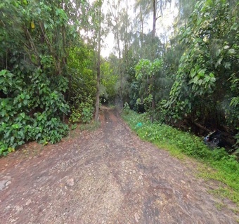 사이판 정글투어 아이 동반 가능할까? 실제 참여 후기와 주의사항 완벽 가이드